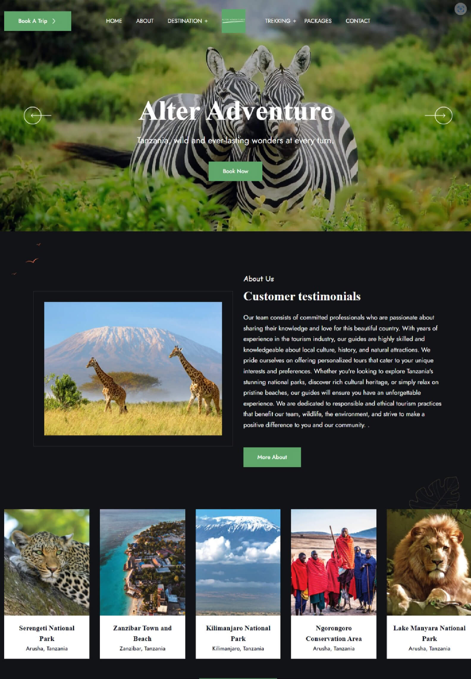 Alter Adventures website